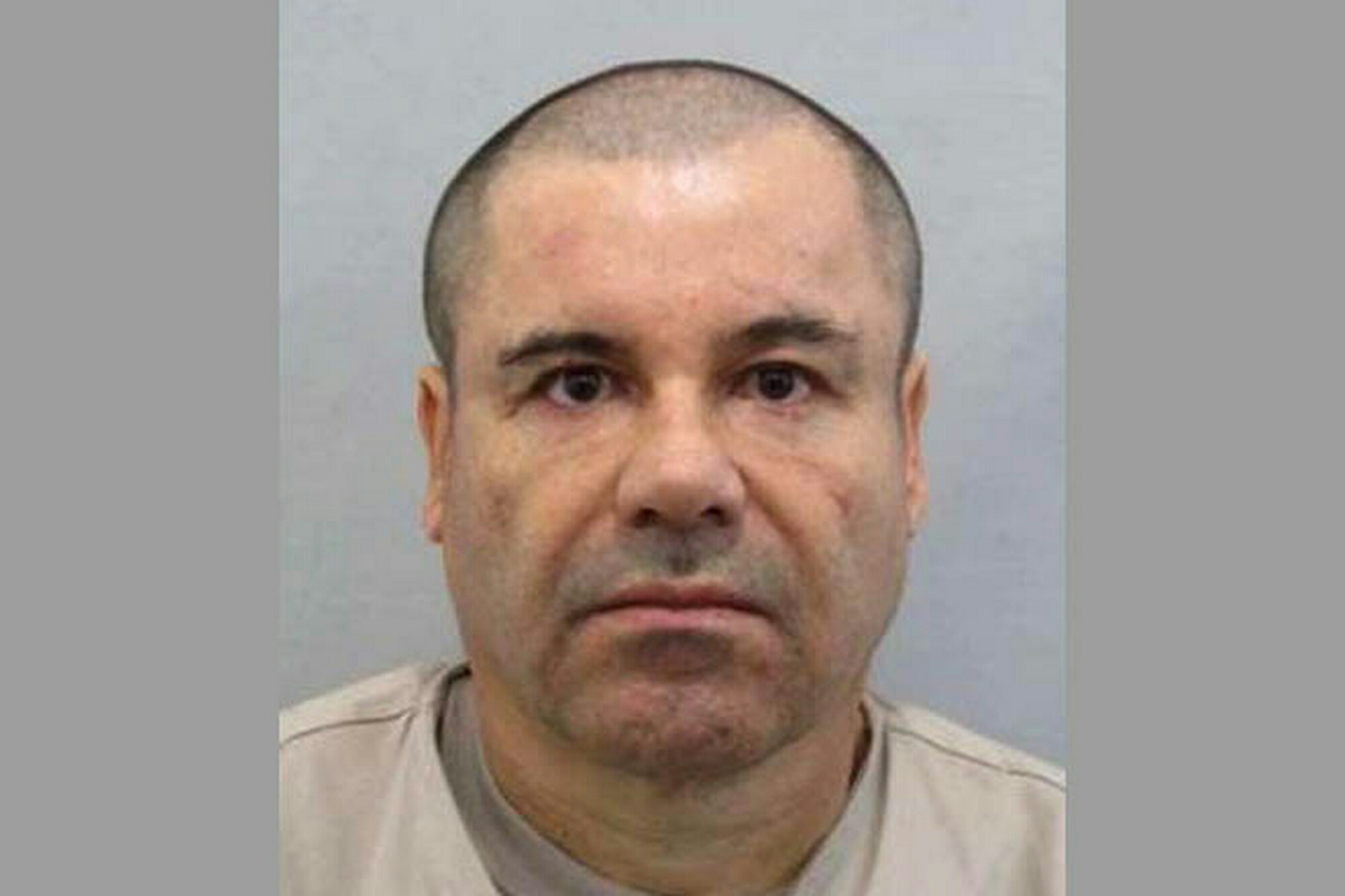 wp-1457513515838 image