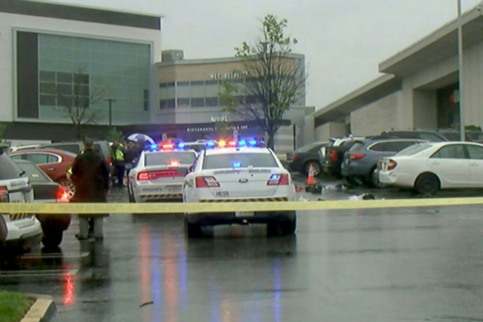 wp-1464806063280 image